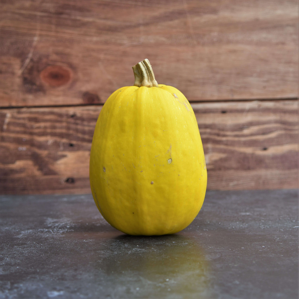 z Courge Spaghetti