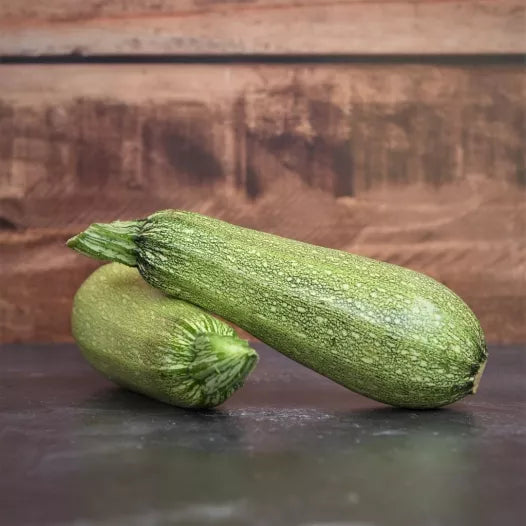 Algerian Petite Grise Zucchini