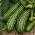Cocozelle di Tripoli zucchini