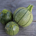 Courgette Ronde de Nice