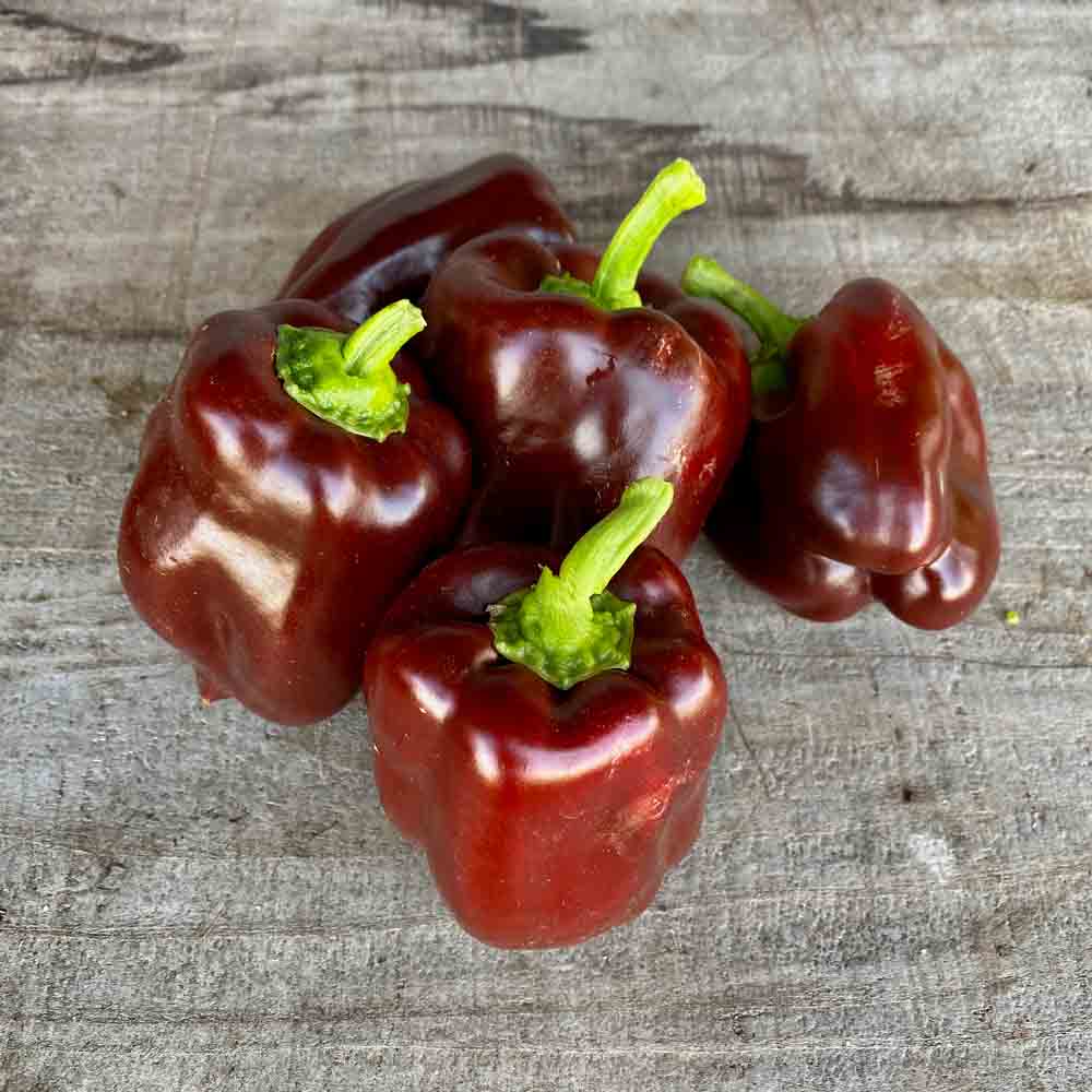 Chocolate Bell Pepper
