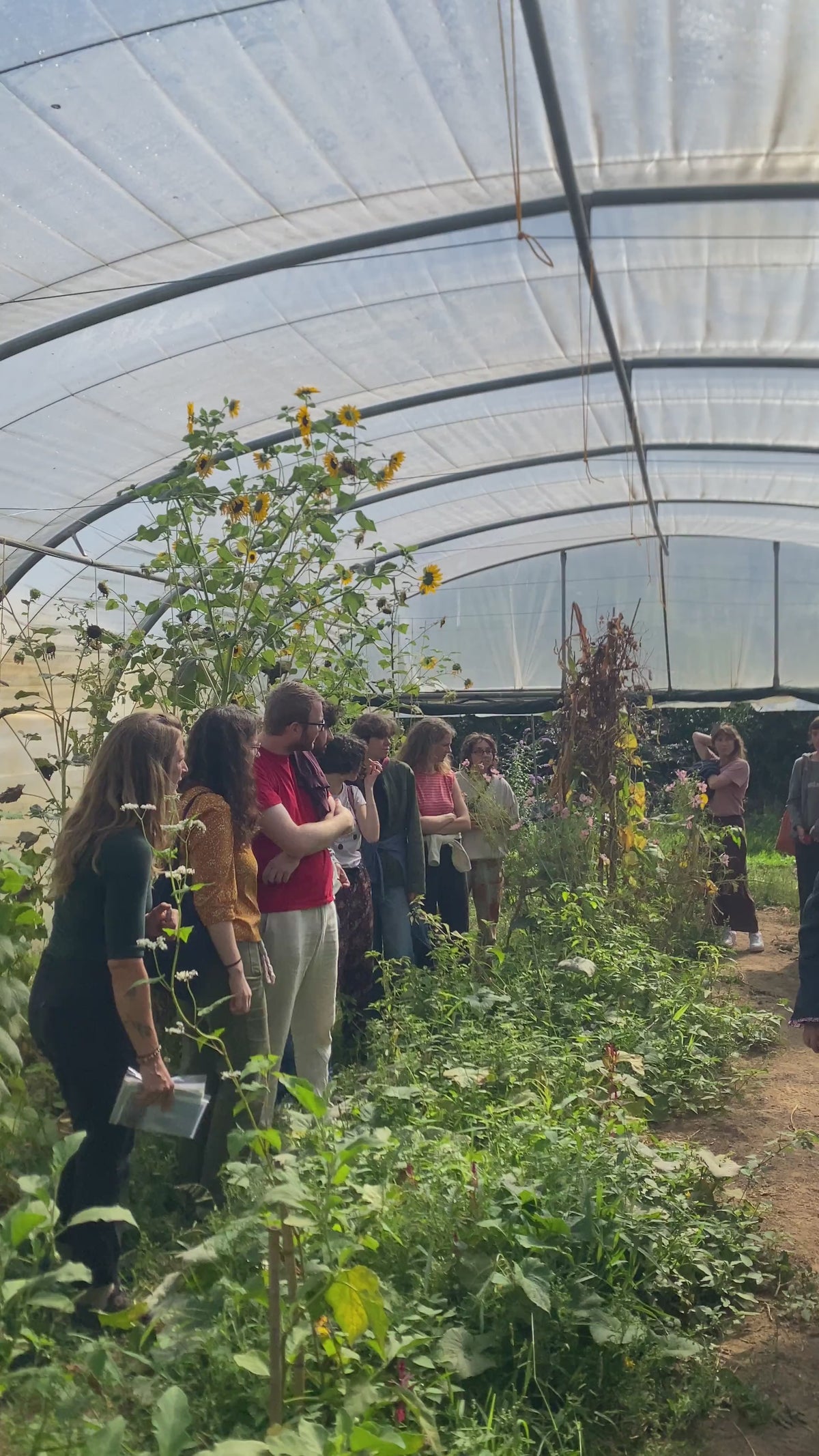 A. Visite de la Pépinière PÉPI PÉPI · Samedi 10 Octobre · 10h00 - 11h30